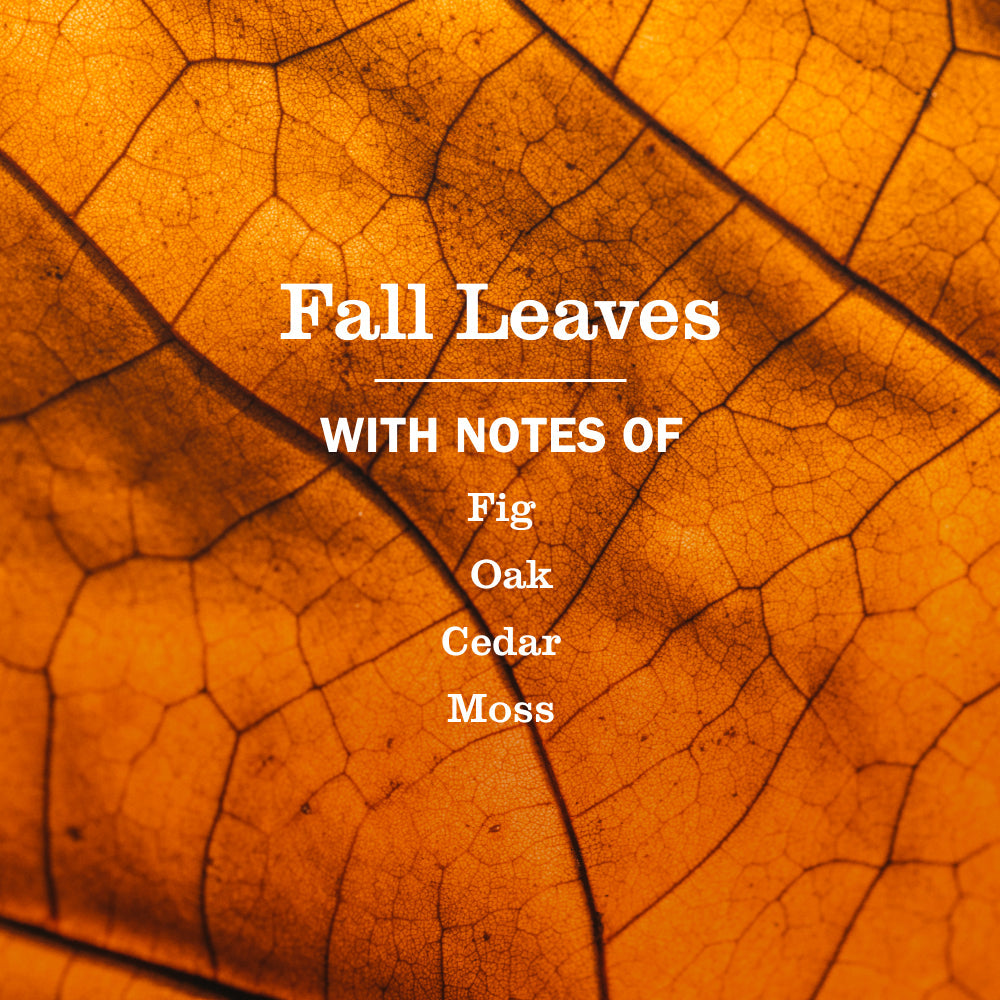 Fall Leaves Plug In Scented Oil Refill 2-Pack
