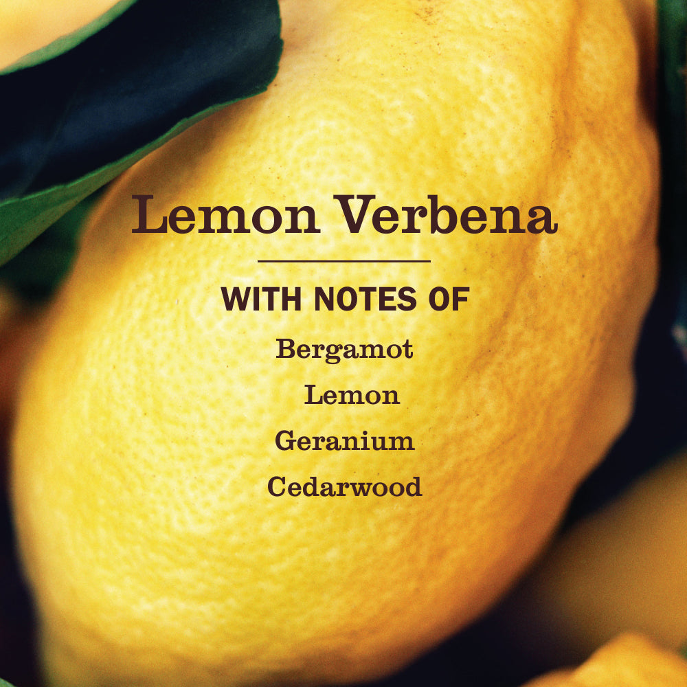 Mrs. Meyer's Lemon Verbena Tub & Tile