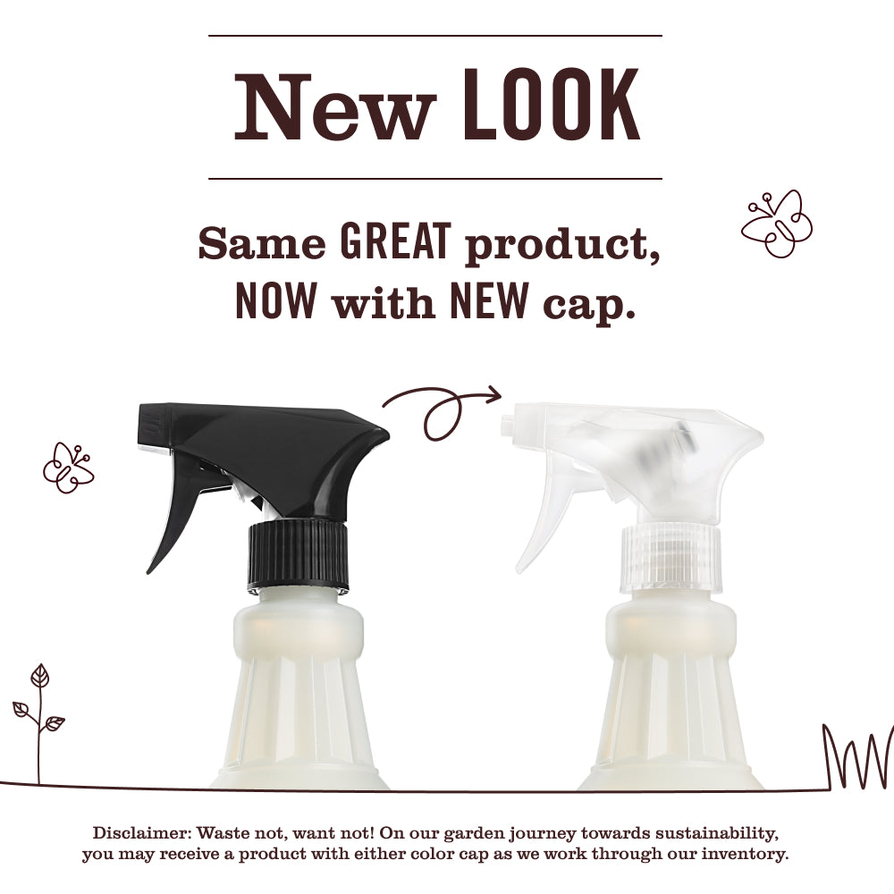 Gingerbread Multi-Surface Everyday Cleaner