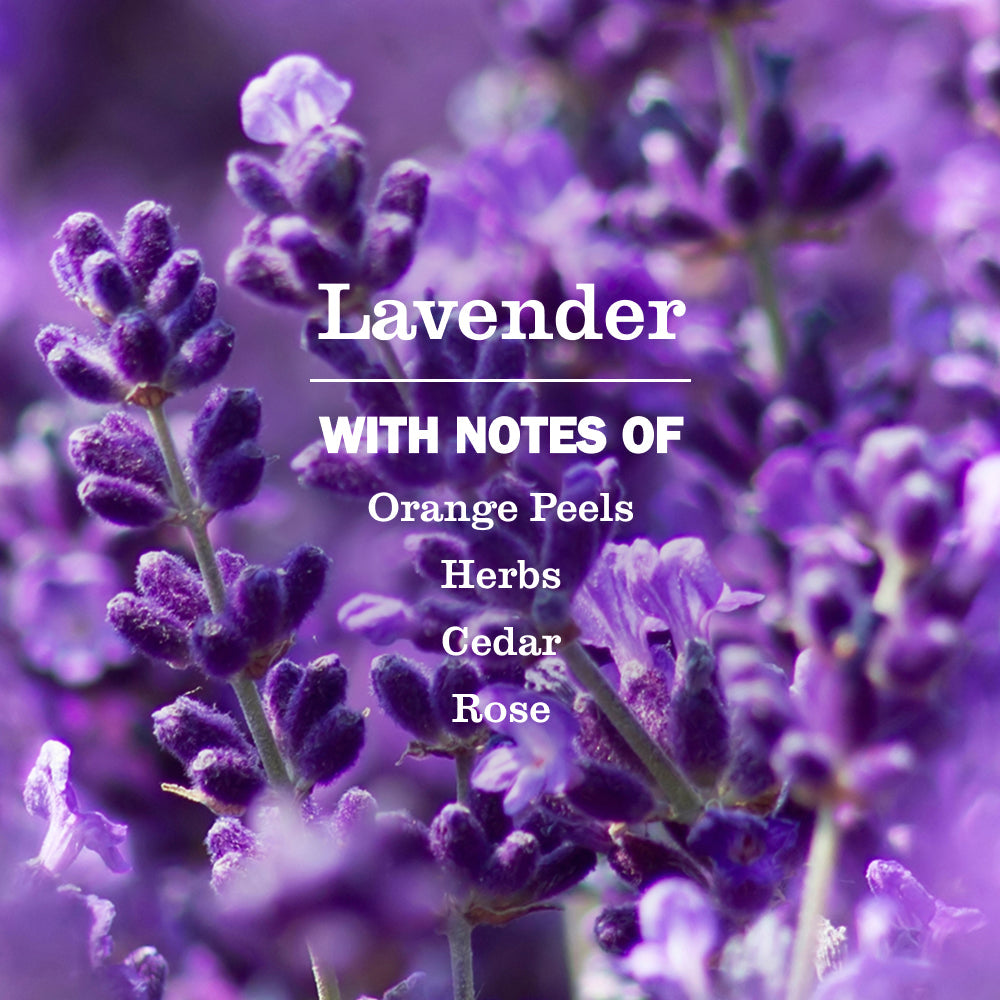 Mrs. Meyer's Lavender Foaming Hand Soap