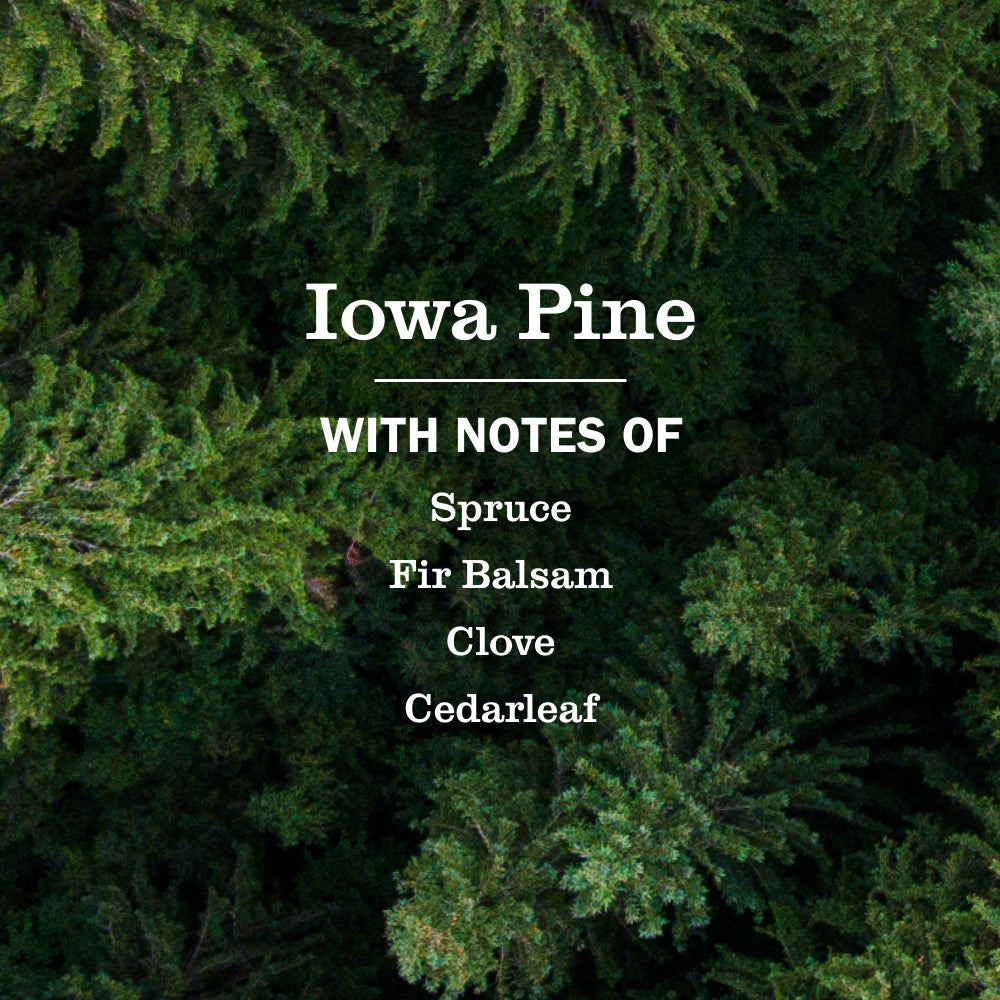 Mrs. Meyer's Iowa Pine Soy Candle Large