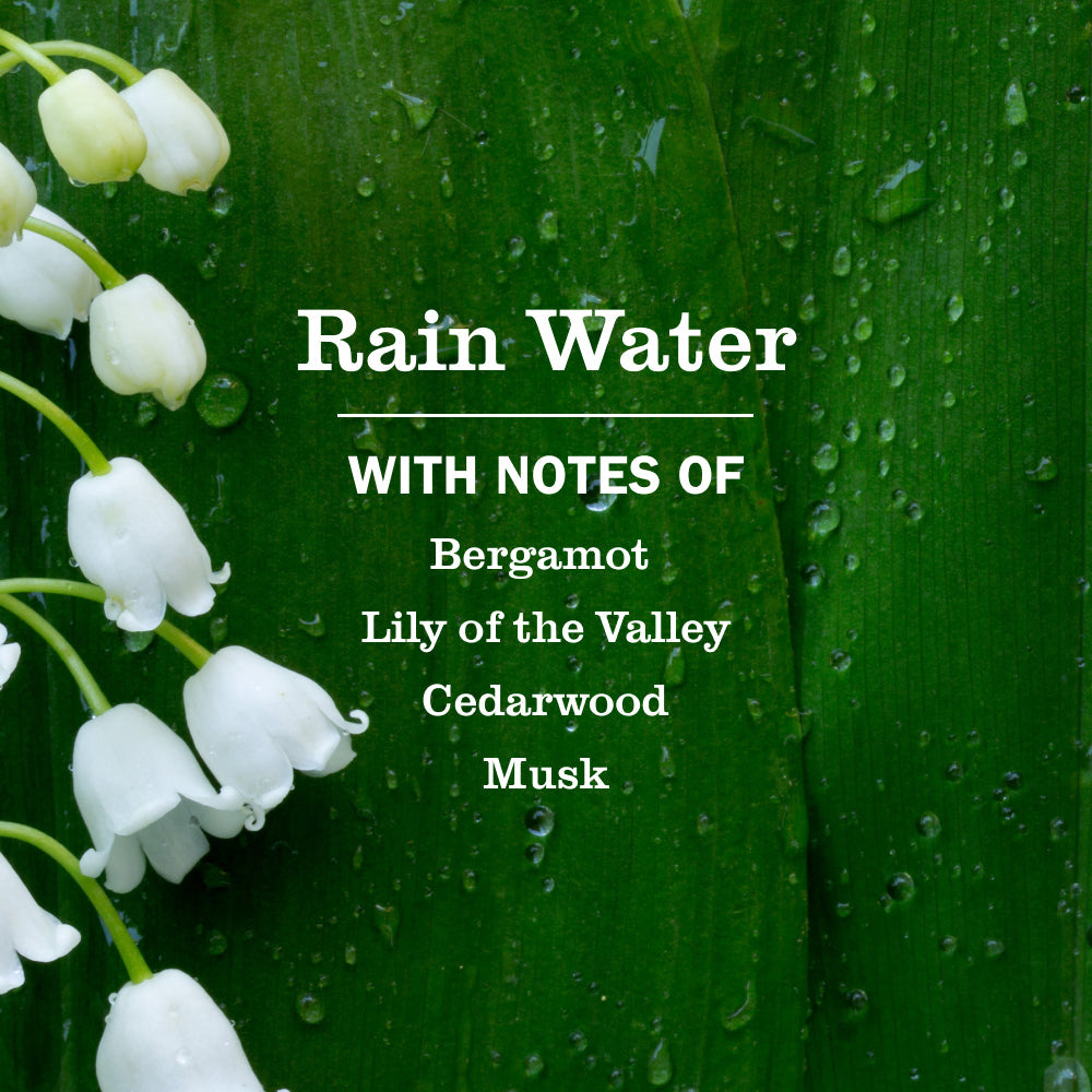 Rain Water Scent Booster